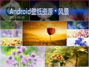 花海中的芬芳 Android风景高清壁纸集