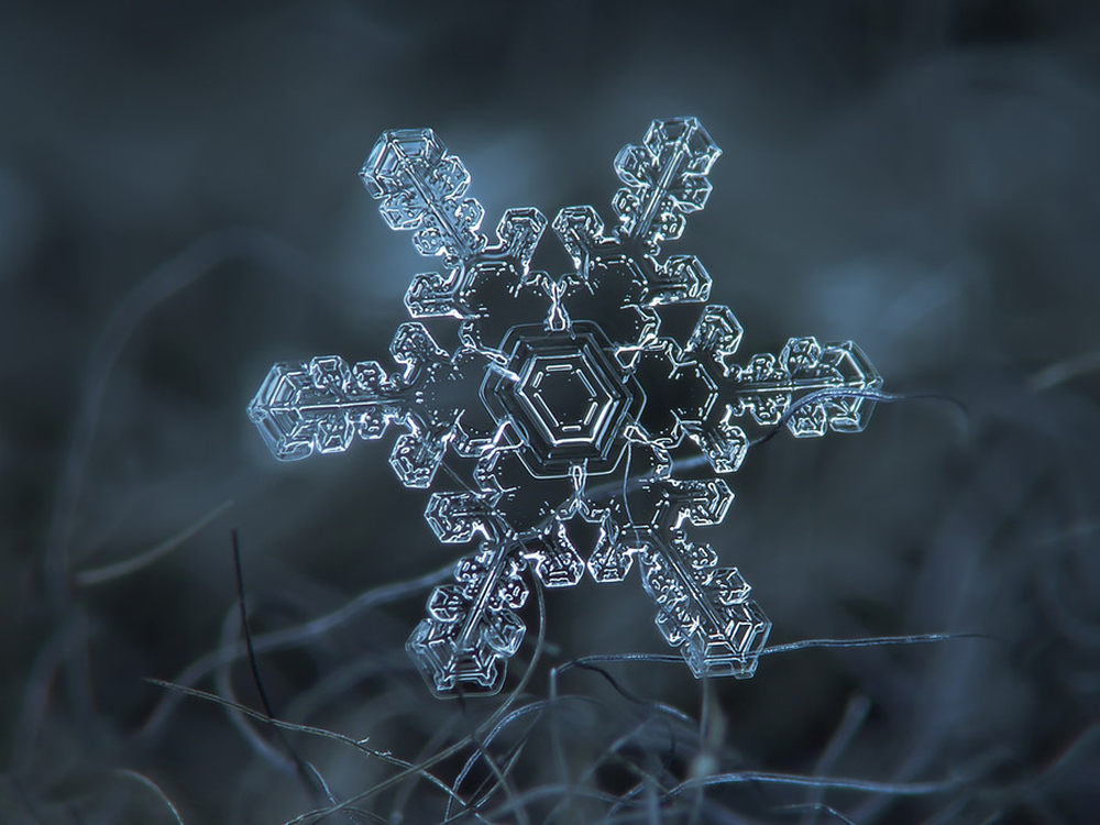 形态各异美不胜收 微距镜头下的雪花