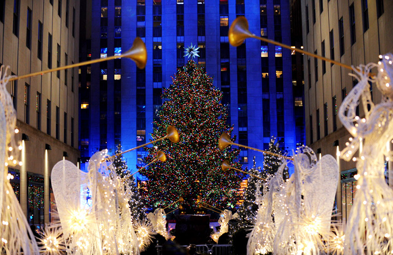 看遍全球最美的圣诞树