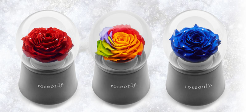 roseonly圣诞单品!不只是玫瑰_泡美美