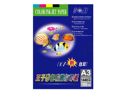 ����A3����ֽ