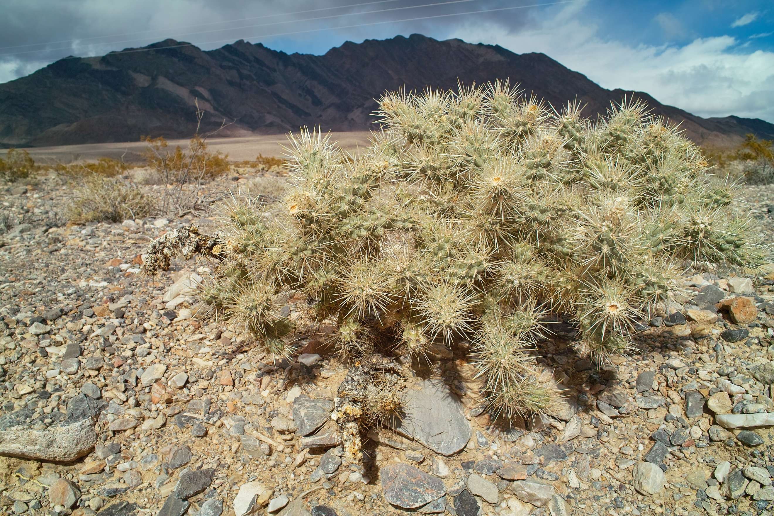 适马dp1_适马dp1直出图_适马dp1样片