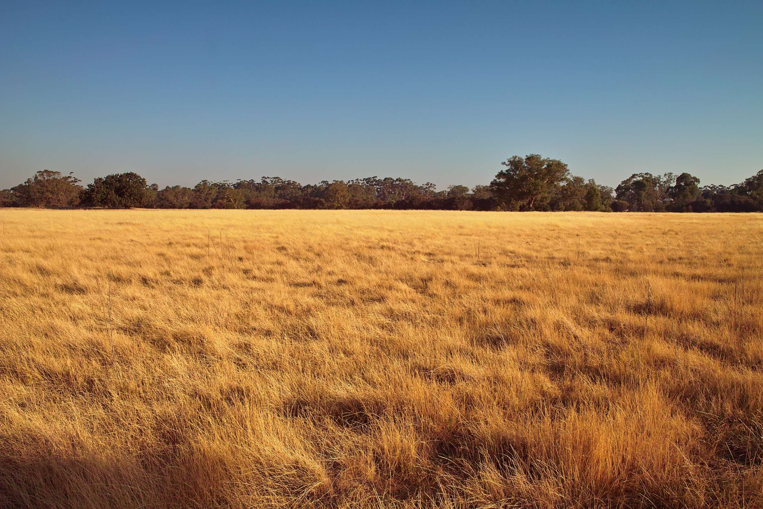 适马dp1数码相机原图+高清图片