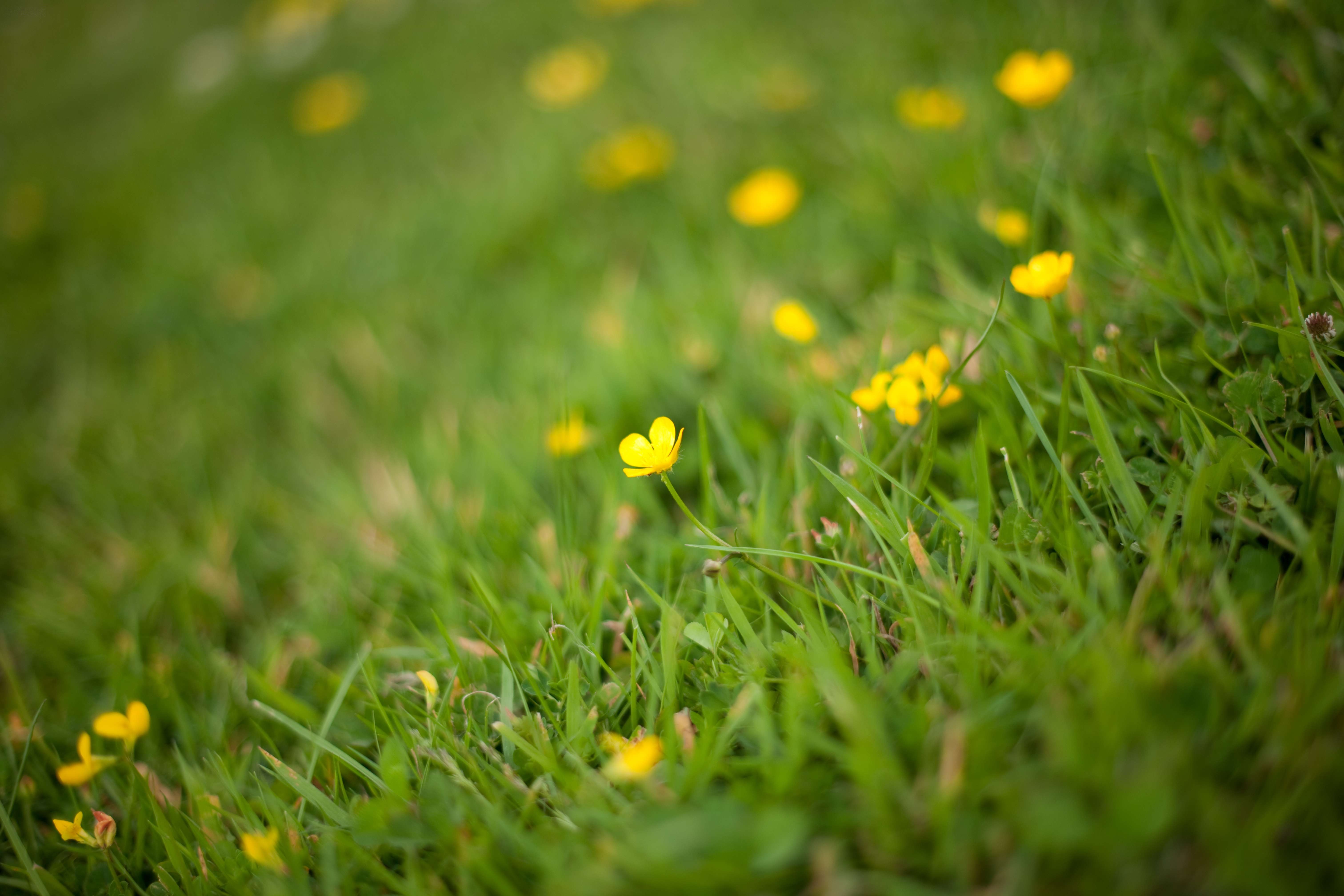 尼康af-s 50mm f/1.4g样张图片27