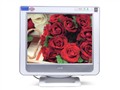 AOC 795F CRT��ʾ��