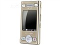 CECT V260