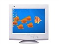 ������ 202F4 CRT��ʾ��