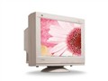 ���� P220f CRT��ʾ��