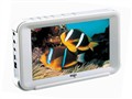������ P891+(20GB) MP4