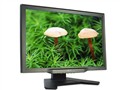 Acer AL2623W Һ����ʾ��
