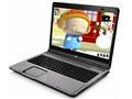HP Pavilion dv9206TX(RU895PA) �ʼǱ�