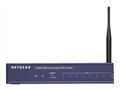 NETGEAR FVG318 