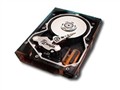 ϣ�� 18GB/10K/68��(ST318406LW) ������Ӳ��