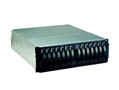 IBM TotalStorage DS300 1701-1RS ��������