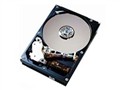 ���� 146.8GB/10K/U320/80�� ������Ӳ��