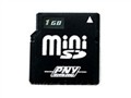 PNY Mini SD (1GB)