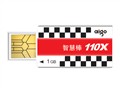 ������ �ǻ۰�110X(2GB) �ƶ�U��