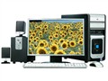 TCL ��������E8336 ����