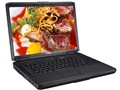 ���� Vostro 1400(Q520984) �ʼǱ�