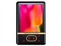 ��ħ RM650+(2GB) MP3