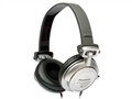 ���� RP-DJ300