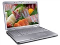 ���� Inspiron 1720(R510119)