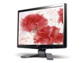 Acer P193WA Һ����ʾ��
