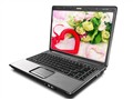 HP Compaq Presario V3652TU(GZ336PA) 