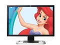 HP LP3065 Һ����ʾ��