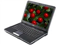 ���� Joybook S31-128 �ʼǱ�