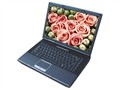 ���� R660(VUR660-440)