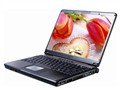 ΢�� MSI S300-BT5612SBB �ʼǱ�