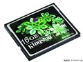��ʿ�� CF 133X(16GB) 