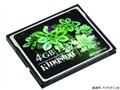 ��ʿ�� CF 133X(4GB) ���濨
