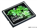 ��ʿ�� CF 133X(2GB)