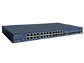 Netcore NSM3300-28 ������