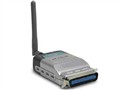 D-Link DP-G301 ��ӡ������