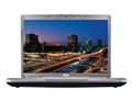 ���� Inspiron 1520(T8300 2.4G/2G/250G) �ʼǱ�