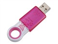 SanDisk Cruzer Fleur(4GB) �ƶ�U��