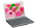 ���� Inspiron 1525(T2370 1.73G/2G/160G) �ʼǱ�