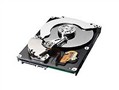 ���� 120G/7200ת/8M/����(SpinPoint P80 HD120IJ) Ӳ��