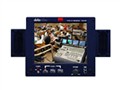 DataVideo TLM-70D