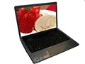 ���� Studio 15(R510717)