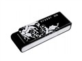 SanDisk Cruzer PaTter(2G)