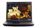 HP Compaq 6530b(FP588PA)