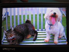 ����VISION��������&nbsp;����MP4���۲���