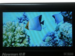寒假出游必看5大绝世美景对决5款MP4