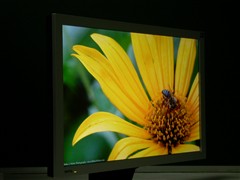 HDMI�󷴻����������¿�22����������