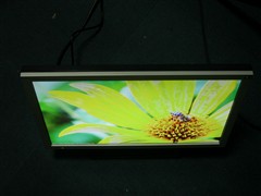 HDMI�󷴻����������¿�22����������
