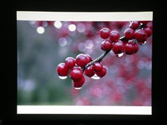 ͬ����ɱ&nbsp;����2��ͼ�ͶӰ���Ա�����